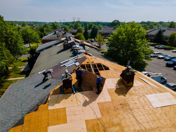 24/7 Emergency Metal Roofing experts in Elmo, TX